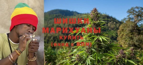 молекула духа Алзамай