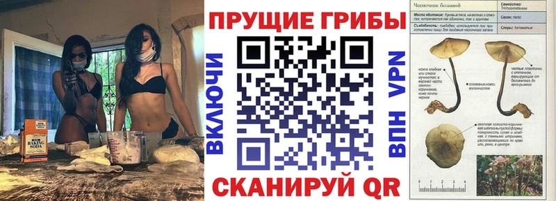 Псилоцибиновые грибы GOLDEN TEACHER  Феодосия 